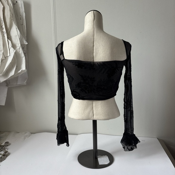 Elegant Black Sheer Long Sleeve Crop Top - Picture 2 of 4